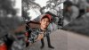 🇮🇩🎶Ricko🎺🎶🎶🇮🇩