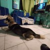 Orly Mendez Visco