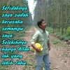 Putra Shena