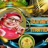 WSTB SUNARTY