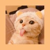 ✬™‬‬‬‬‬‬‬‬‬‬ °𝓜𝓵𝓪𝓬𝓴.♪
