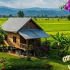 เพียงดิน.....