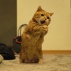 Kitten&#39;s Roar 🐈