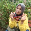 WeSing1764