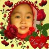 Navica