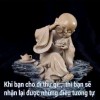 nam nguyên 3997