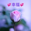 💞幸福💞(暂退)