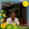 chit 7337