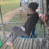 Lâm Bằng Nguyễn