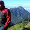Gokil