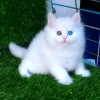 💝 ANJANI💝