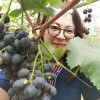 Caroline Shu