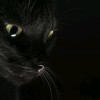 Mouza 🐈‍⬛