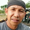 singa putih