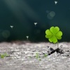 C.91🍀