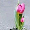 💫💞‪‪Off💞💫