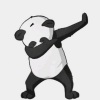 PANDA CUTE🐼