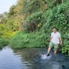 Quốc linh
