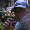 Ardito Ardi