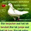 MERPATI