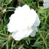 WeSing5621