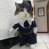 🐱ოɪ̈́sɪ̈́s✨