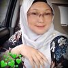 Anis