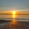 2809_TTM