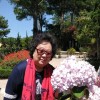 刘芸姐
