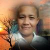 Bobcor Bobsolo