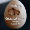 Dh3d3 (OFF 15 DAY)