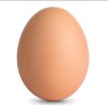 🥚‪®‬