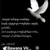 🕊️Bawana Virgo🕊️