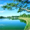 Tuấn