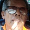 พนม พลอยพฤกษา