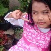 Yuli Indawati