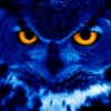 W453NG👁🦉👁