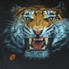 Cak Sol &quot;MACAN&quot;