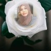 Yani Salwa
