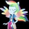 rainbow dash pony
