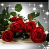ANDIN
