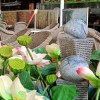 Đời là thế đấy