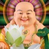 兔大宝
