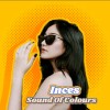 IncEs