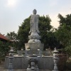 🐉Nhà bao việc 🐍