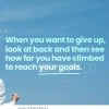 ✨️🐅STAY HUMBLE✨️