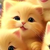 𝕬𝖖𝖎𝖘𝖍💞😺