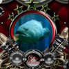Ccg_ Gemini