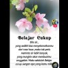🌹🌷🐬 DANIA 🐬🌷🌹