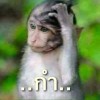 บักพาก